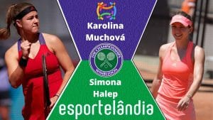 Karolina Muchová x Simona Halep – Palpite e prognóstico – 28/06