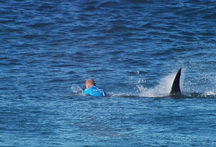 Italo Ferreira revela fuga de tubarão em Noronha, confira outros incidentes como esse no Surf