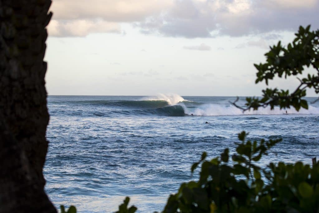 Confira o Ranking da WSL após a primeira etapa do Circuito de Elite