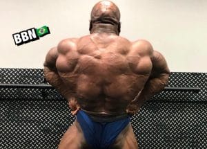 Shaun Clarida divulga dorsais espetaculares em nova atualização