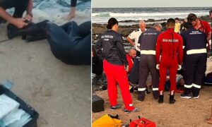 Tubarão ataca surfista em uma das etapas do Circuito Mundial de Surfe; veja