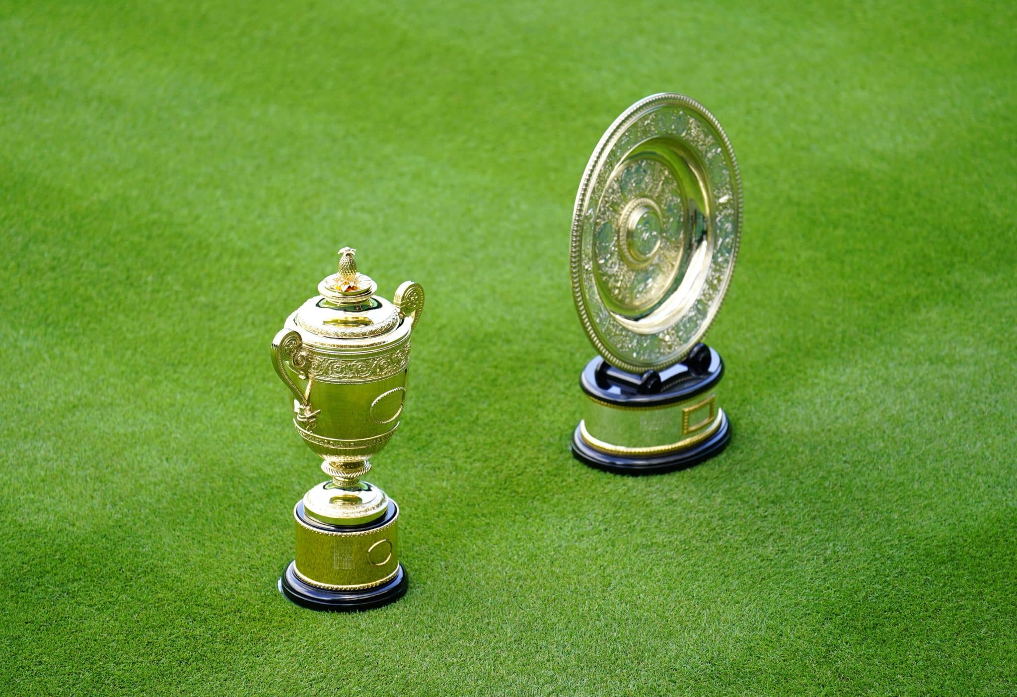 A nova realeza campeã de Wimbledon 2023