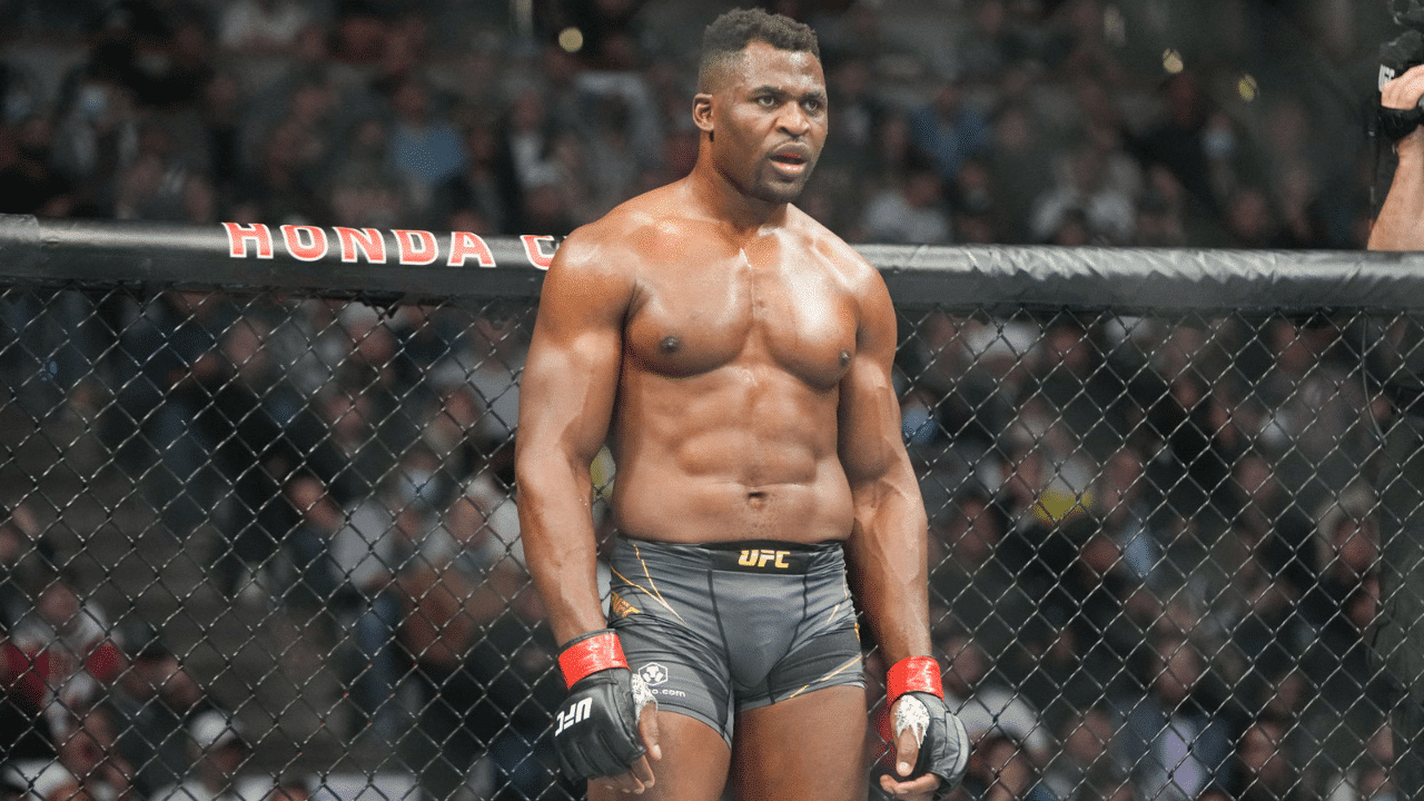 Suicídio? Diferença nas odds para Francis Ngannou x Tyson Fury chama a atenção