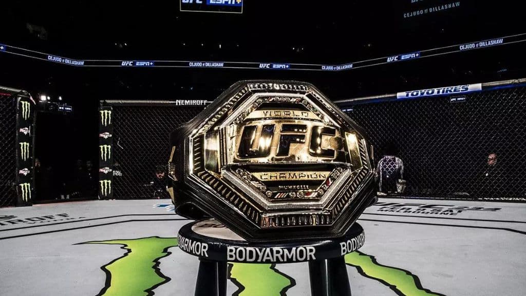 Ex-campeão do UFC comete crime e pode pegar 3 meses de prisão