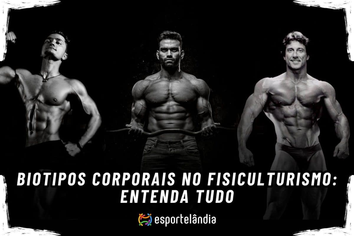 Biotipos corporais no fisiculturismo: entenda tudo