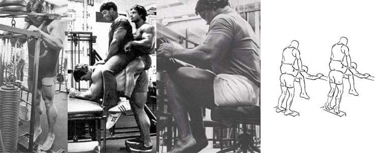 O treino que Arnold Schwarzenegger fazia quando foi campeão do Mr. Olympia