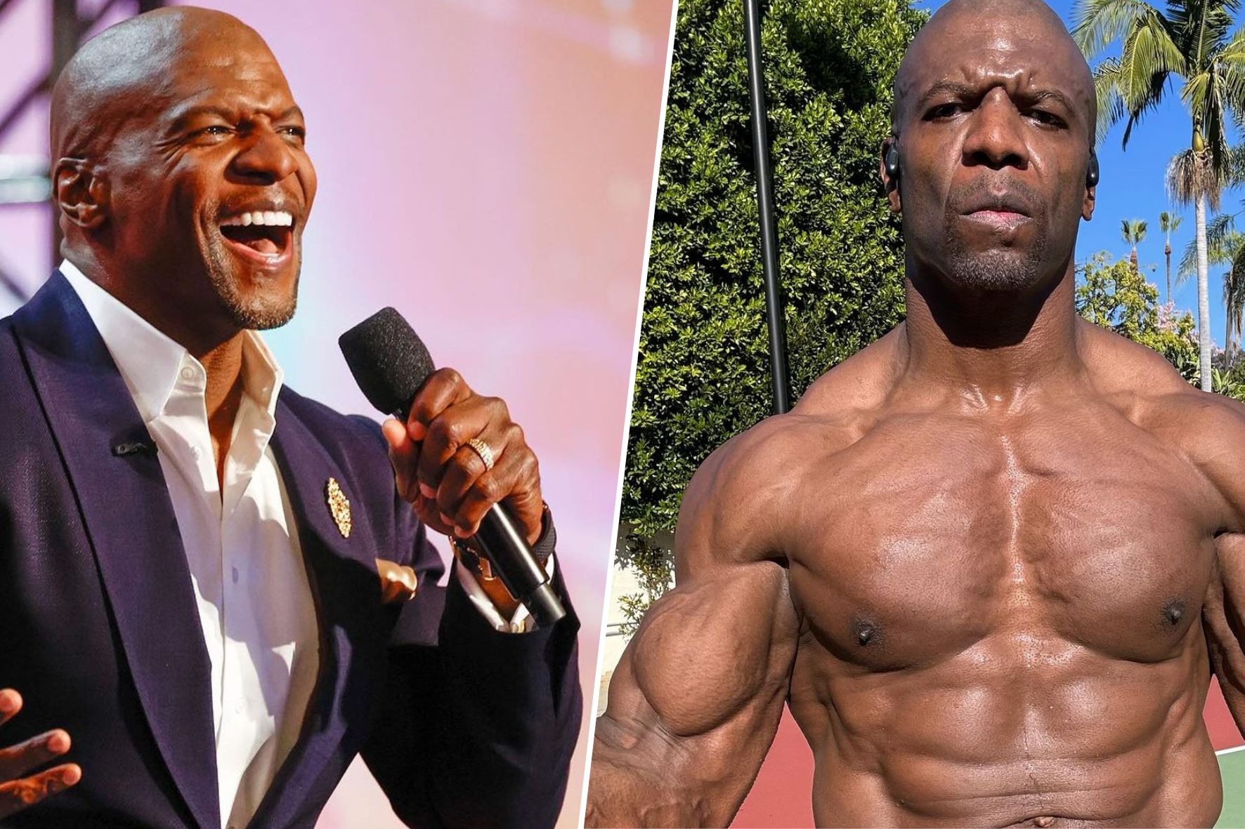 Terry Crews, o Julius, poderia competir no fisiculturismo aos 55 anos e esse é o motivo