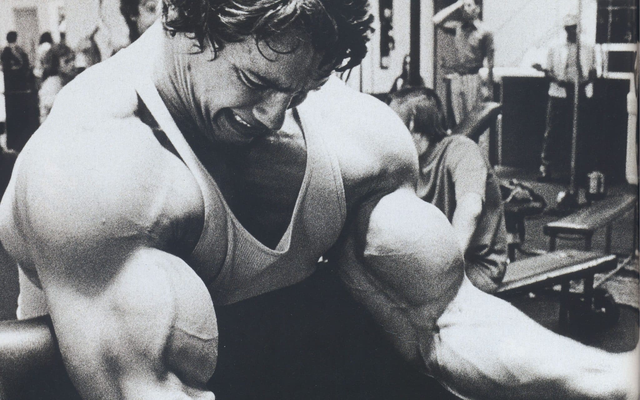 Cbum poderia vencer Arnold Schwarzenegger? Veja as probabilidades