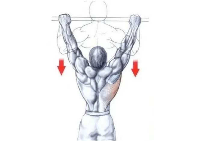 O melhor treino de todos os tempos, segundo a ciência