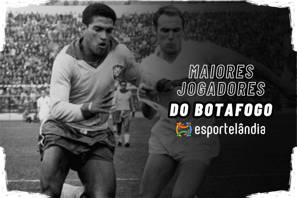 Os 10 maiores jogadores da história do Botafogo