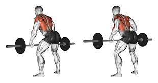 O melhor treino de todos os tempos, segundo a ciência