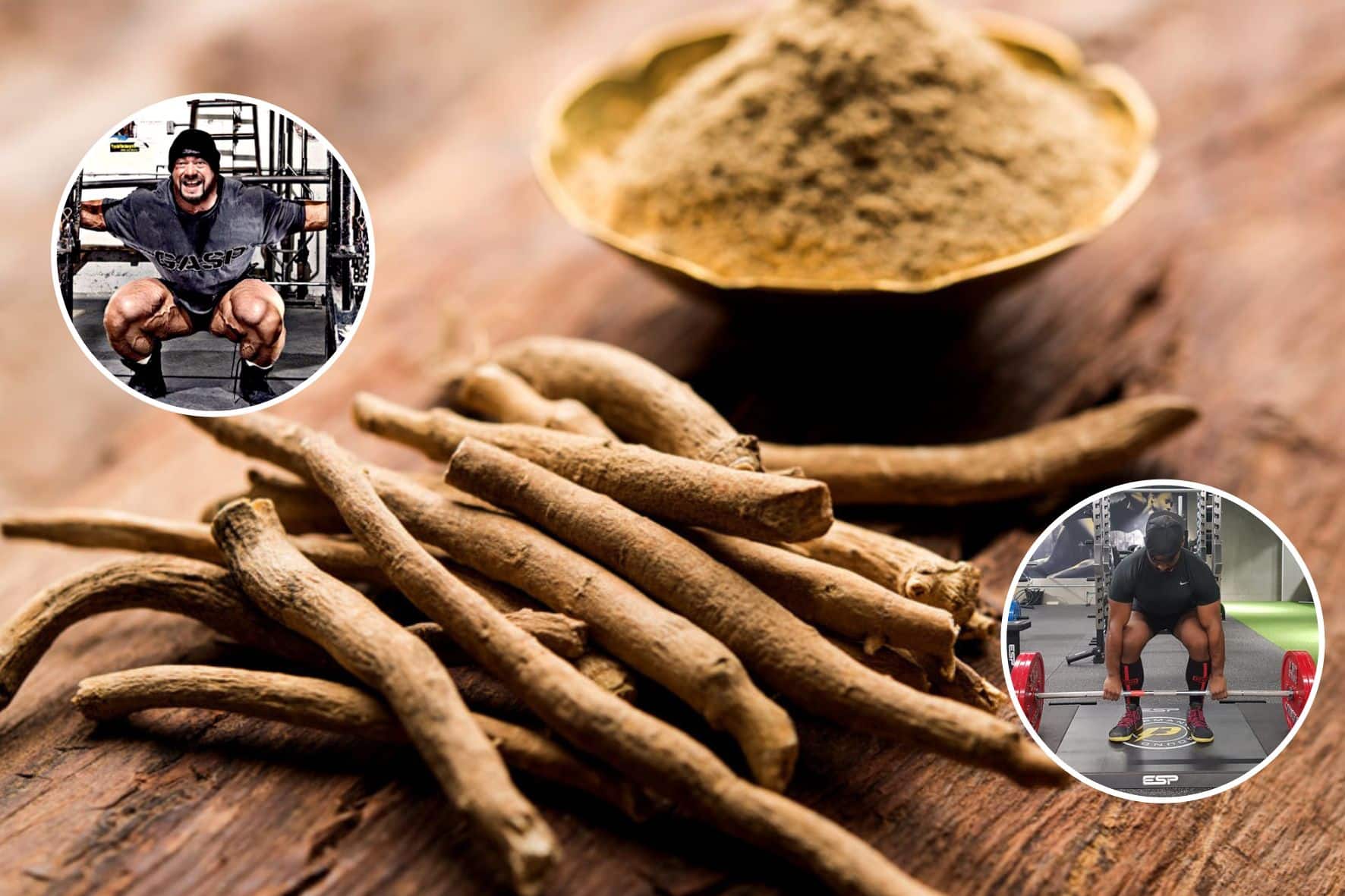 Ashwagandha pode ser o grande segredo dos atletas de força: entenda os benefícios do seu uso