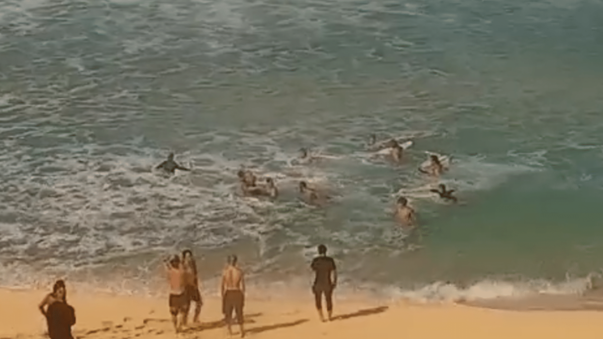 Temporada sinistra em Pipeline faz sua quinta vítima com novo surfista machucado
