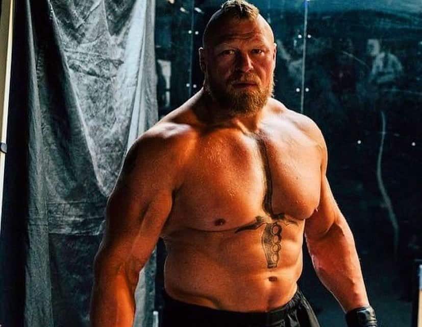 UFC: top 10 atletas mais bem pagos da história