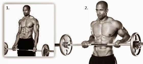 Treino de braço dos fisiculturistas: os exercícios de bíceps e tríceps mais utilizados por atletas