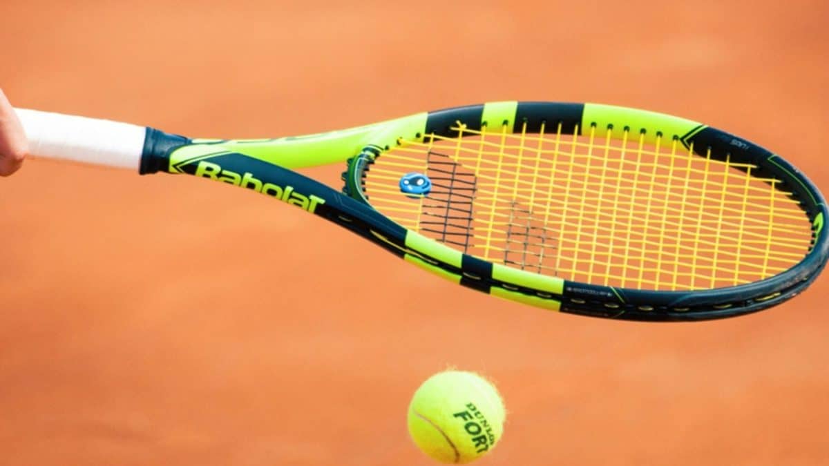 Palpites Copa Davis: qual a melhor aposta?