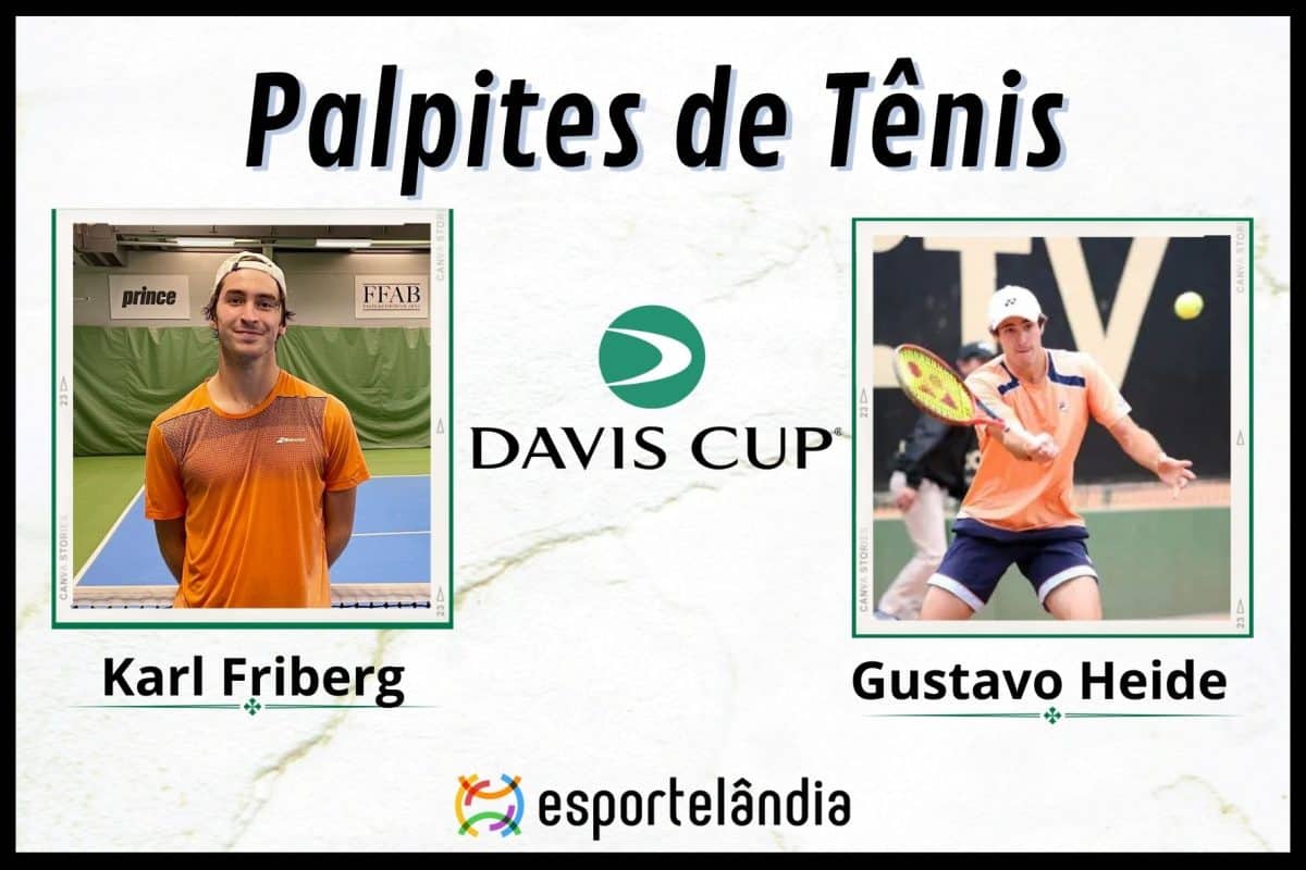 Palpites Tênis: Karl Friberg x Gustavo Heide – 03/02 – Copa Davis