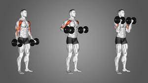 Melhores exercícios para bíceps: maior treinador do fisiculturismo revela os 3 mais eficazes