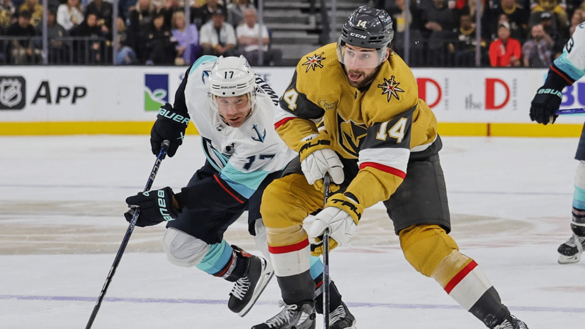 Times da NHL: conheça todas as franquias do hóquei no gelo