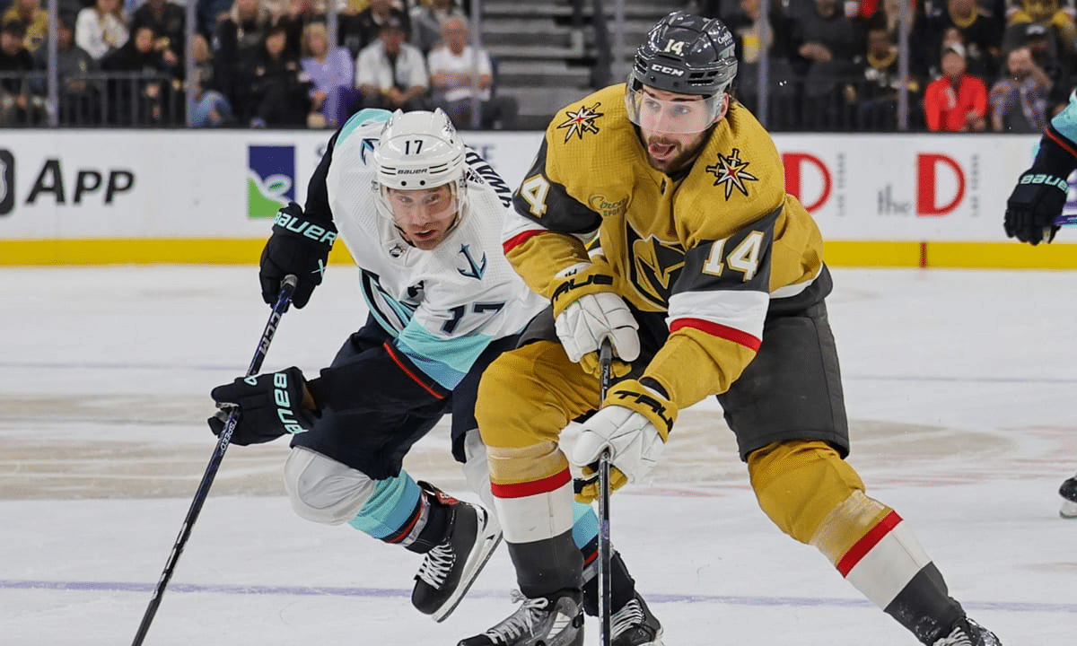 Times da NHL: conheça todas as franquias do hóquei no gelo