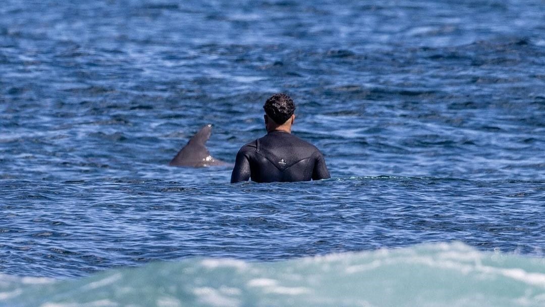 Italo Ferreira surpreende em foto com tubarão: “O terror dos surfistas”