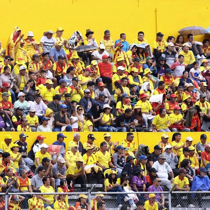 Saiba quais são as maiores torcidas do Equador ([auto_last_update format="Y" before=""])