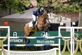 Dicionário do hipismo (2025) – Conheça todos os termos do esporte Dicionário do hipismo (2025) – Conheça todos os termos do esporte