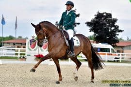 Regras do Hipismo (2025): tudo o que você precisa saber