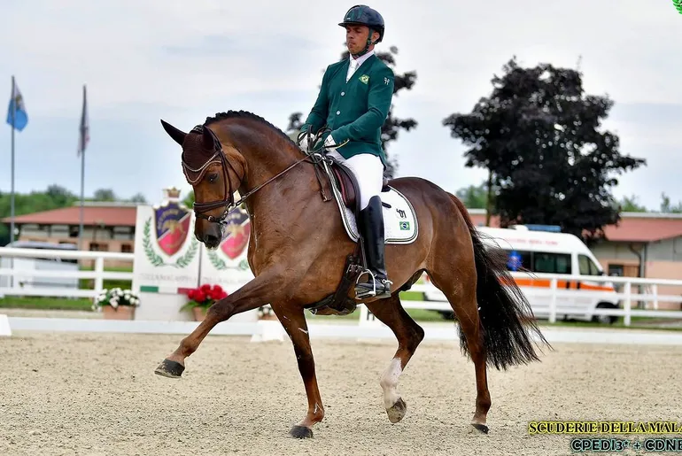 Regras do Hipismo (2026): tudo o que voc&ecirc; precisa saber