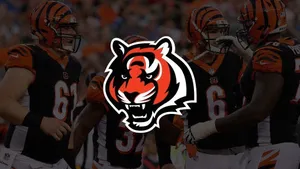 Cincinnati Bengals: história, títulos e curiosidades