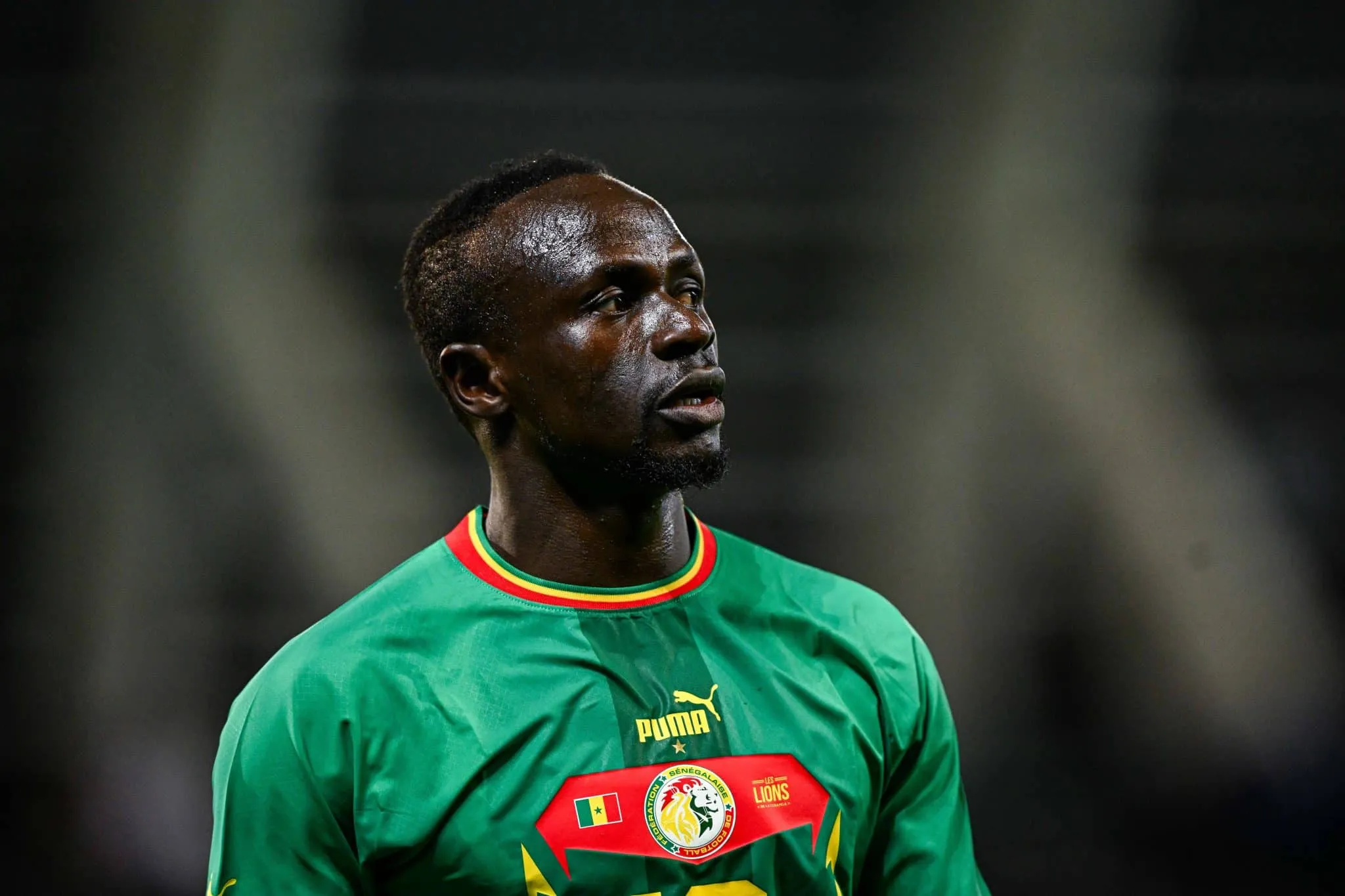 50 maiores atletas negros da história do esporte ([auto_last_update format="Y" before=""])