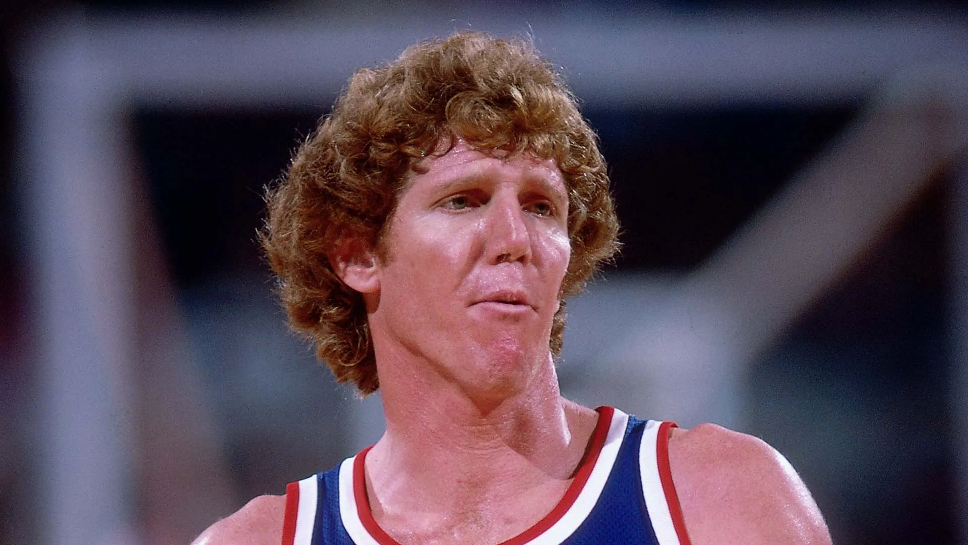 bill walton nba