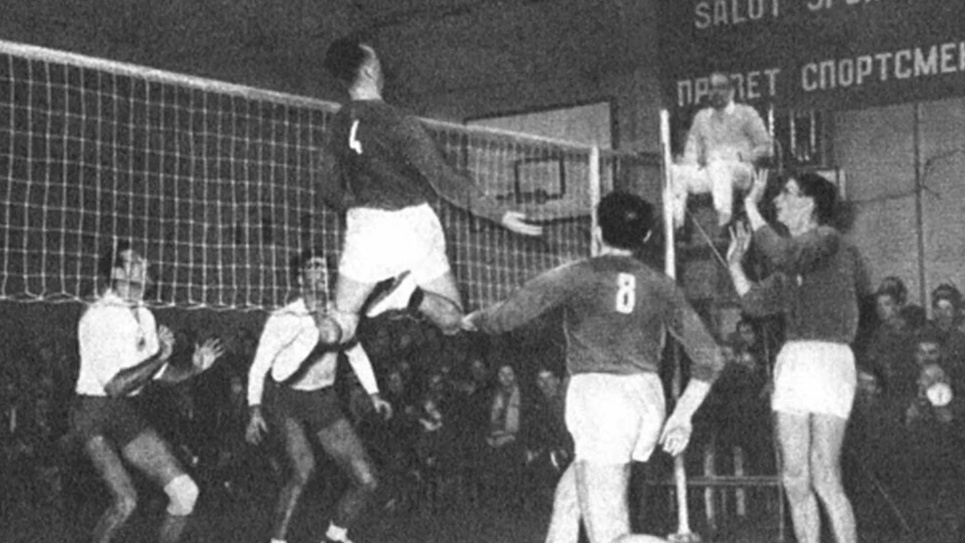 Reva melhores ponteiros do volei