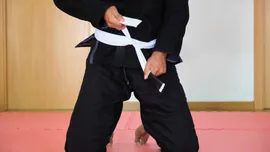 Faixas do jiu-jitsu: ordem, graus, idades e tempo m&iacute;nimo em cada cor