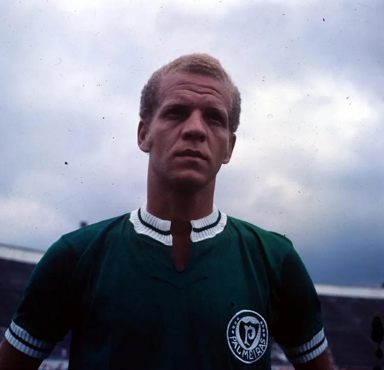 Ademir da Guia, ex-jogador do Palmeiras