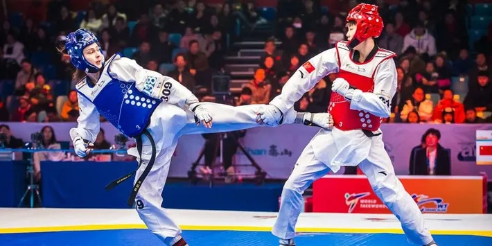 Técnicas de defesa do Taekwondo
