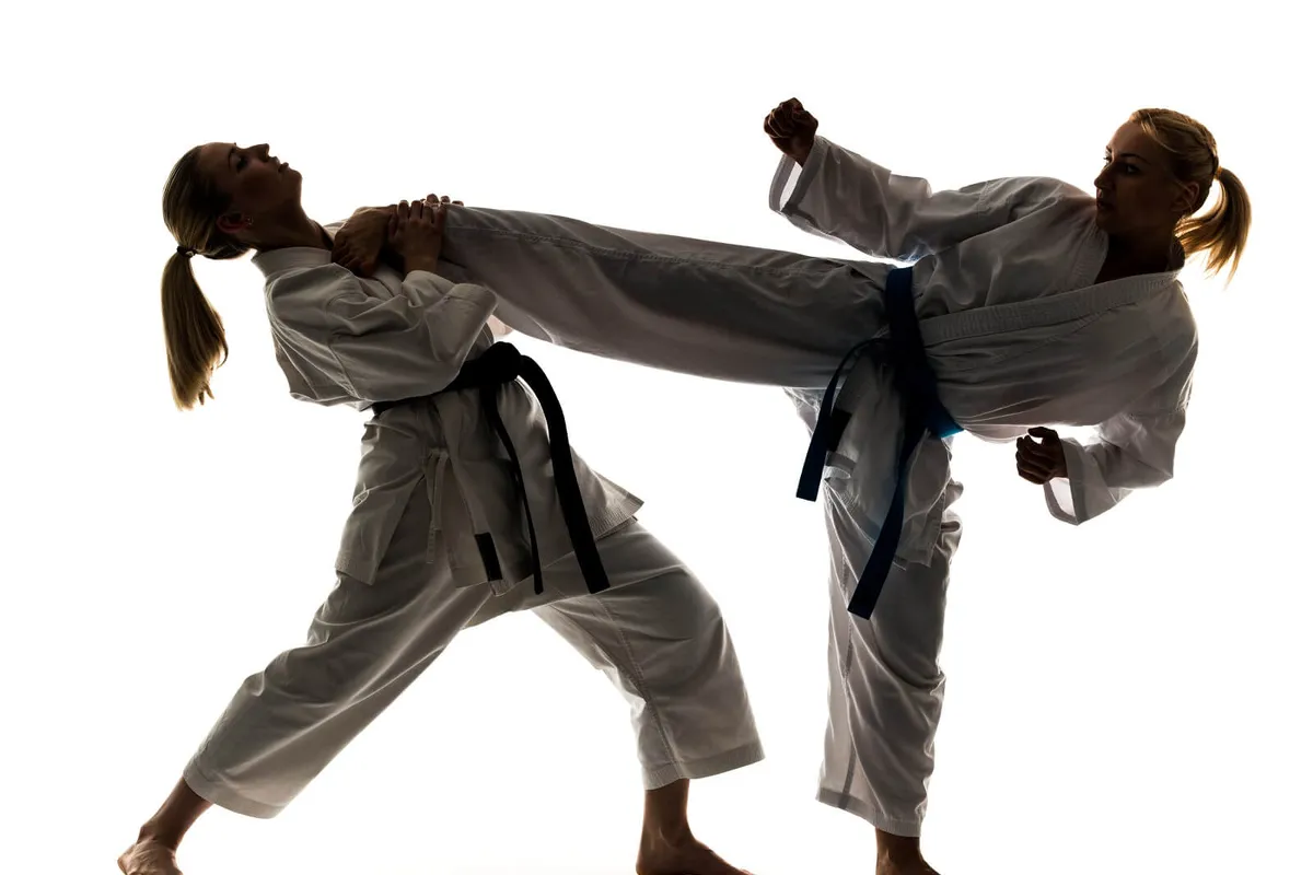 Dicion&aacute;rio do Taekwondo (2026) &ndash; Conhe&ccedil;a todos os termos do esporte