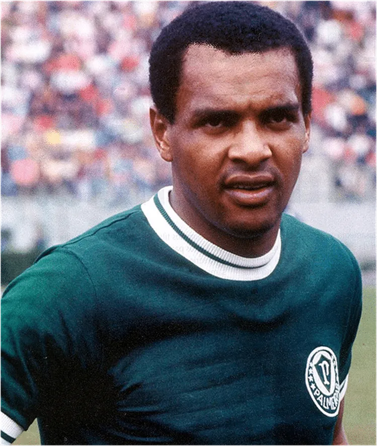 Luís Pereira, ex-jogador do Palmeiras