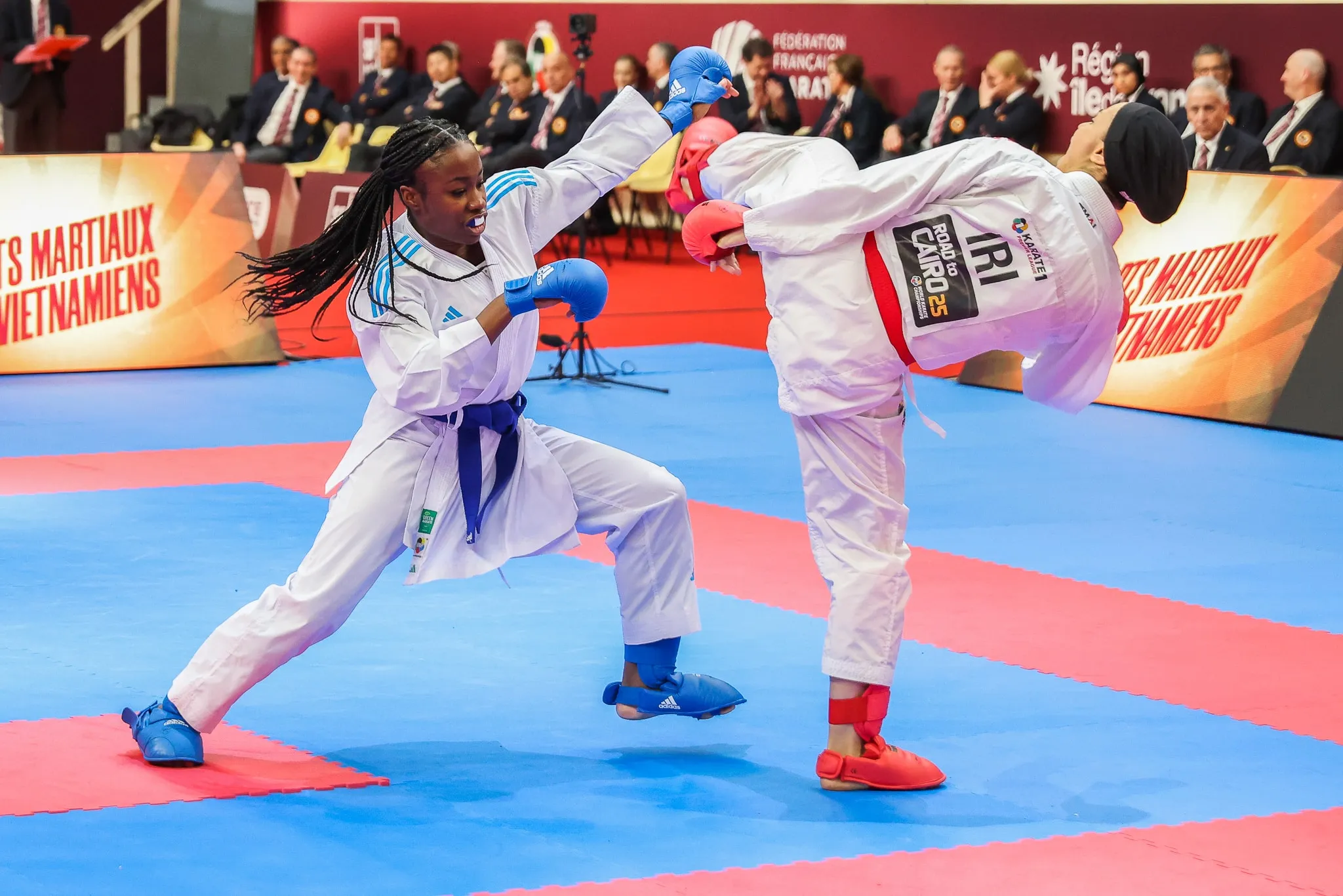 Tudo sobre Karatê ([auto_last_update format="Y" before=""]): história, regras, golpes e equipamentos