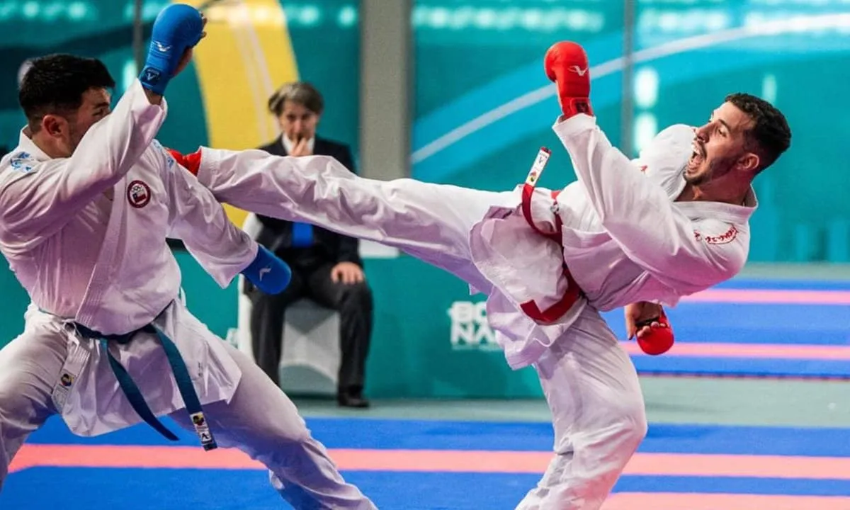 Dicion&aacute;rio do Karat&ecirc; (2026) &ndash; Conhe&ccedil;a todos os termos do esporte