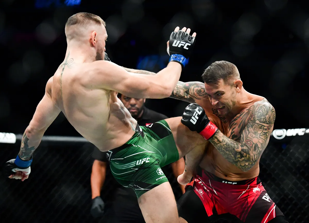 Tudo sobre MMA e UFC ([auto_last_update format="Y" before=""]): história, regras e grandes lutadores