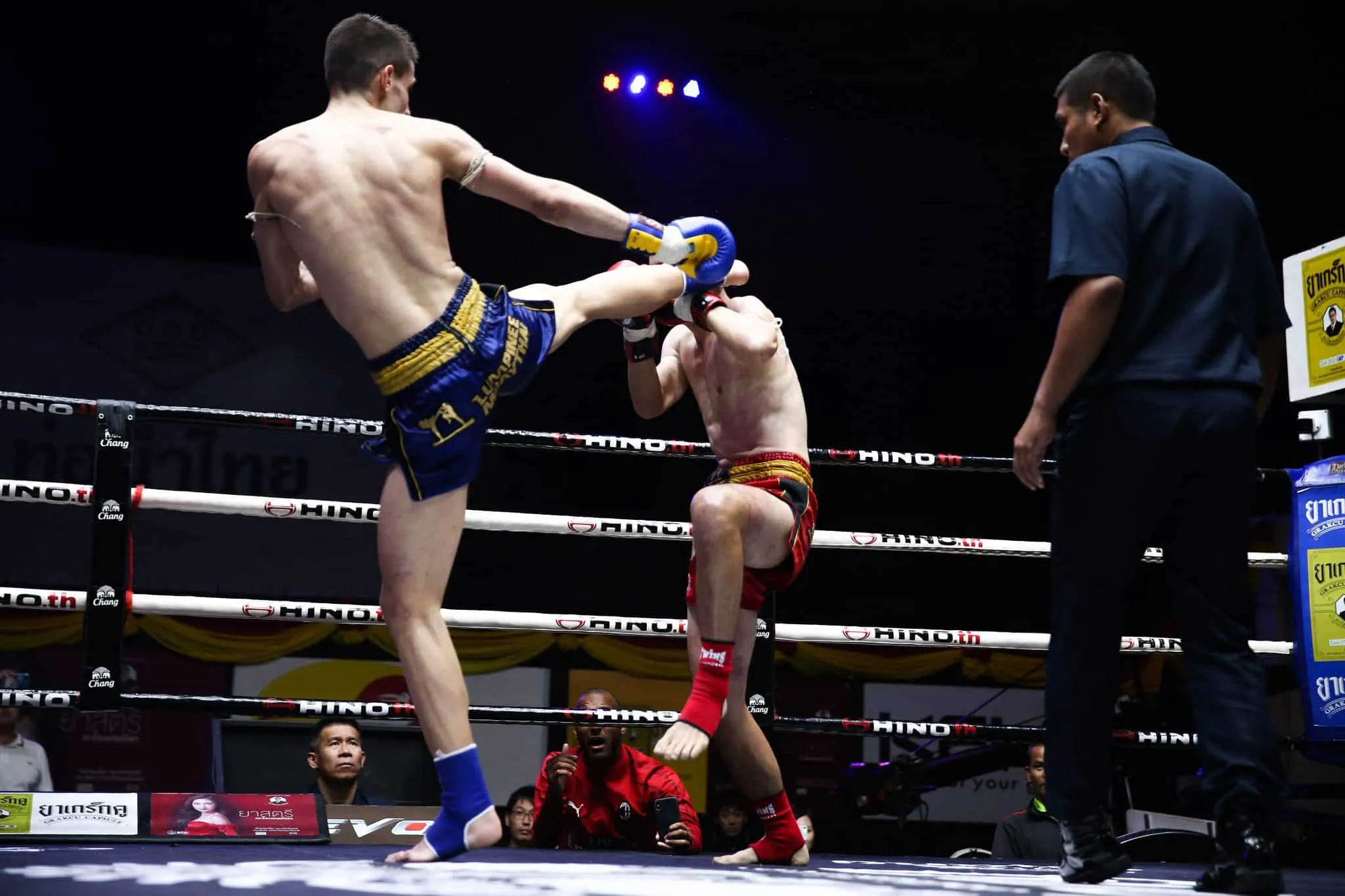 Tudo sobre Muay Thai ([auto_last_update format="Y" before=""]): história, técnicas, golpes e benefícios