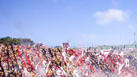 Maior torcida da Bahia: Bahia, Vit&oacute;ria e o peso do Flamengo no estado