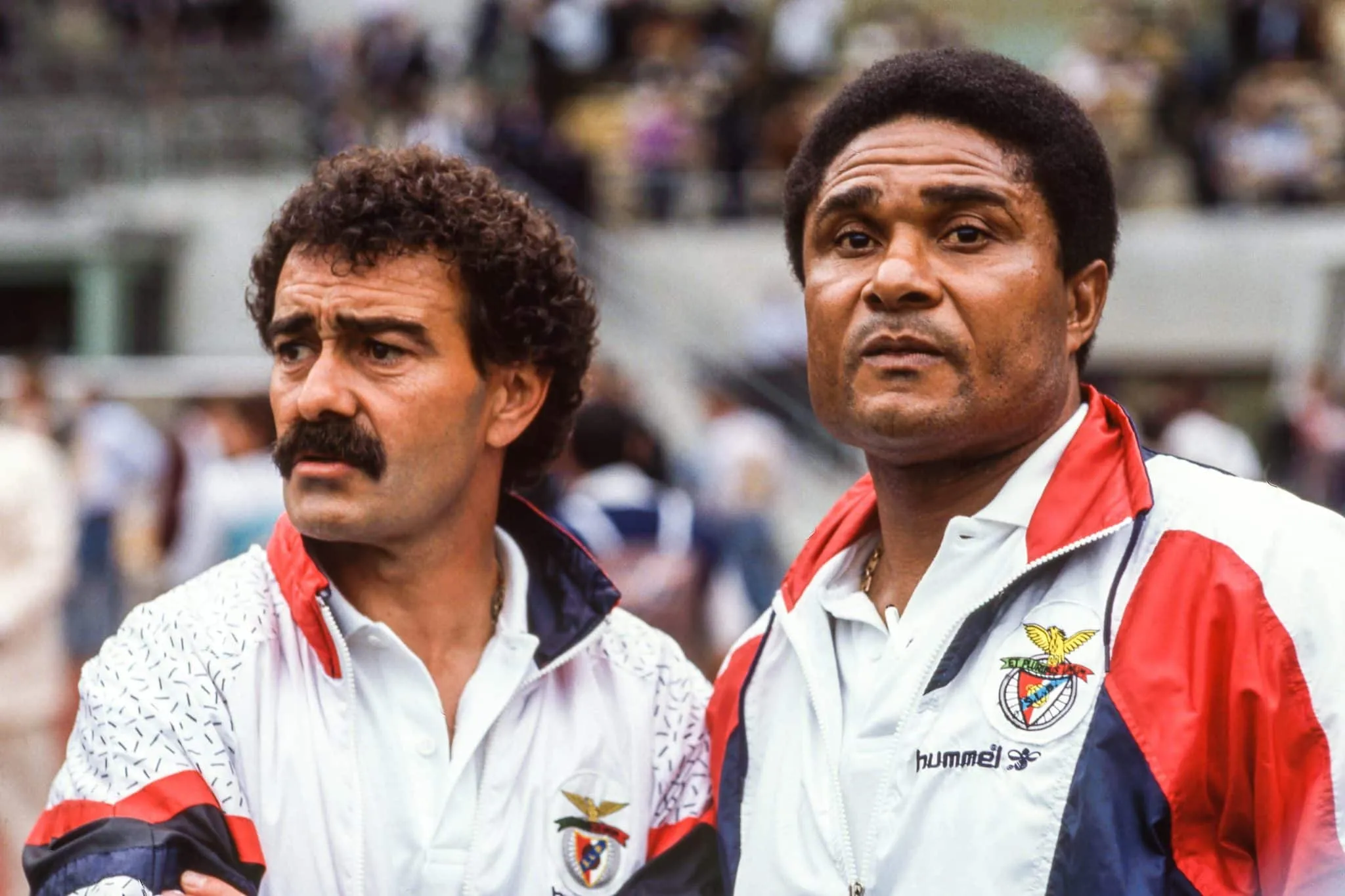 50 maiores atletas negros da história do esporte ([auto_last_update format="Y" before=""])