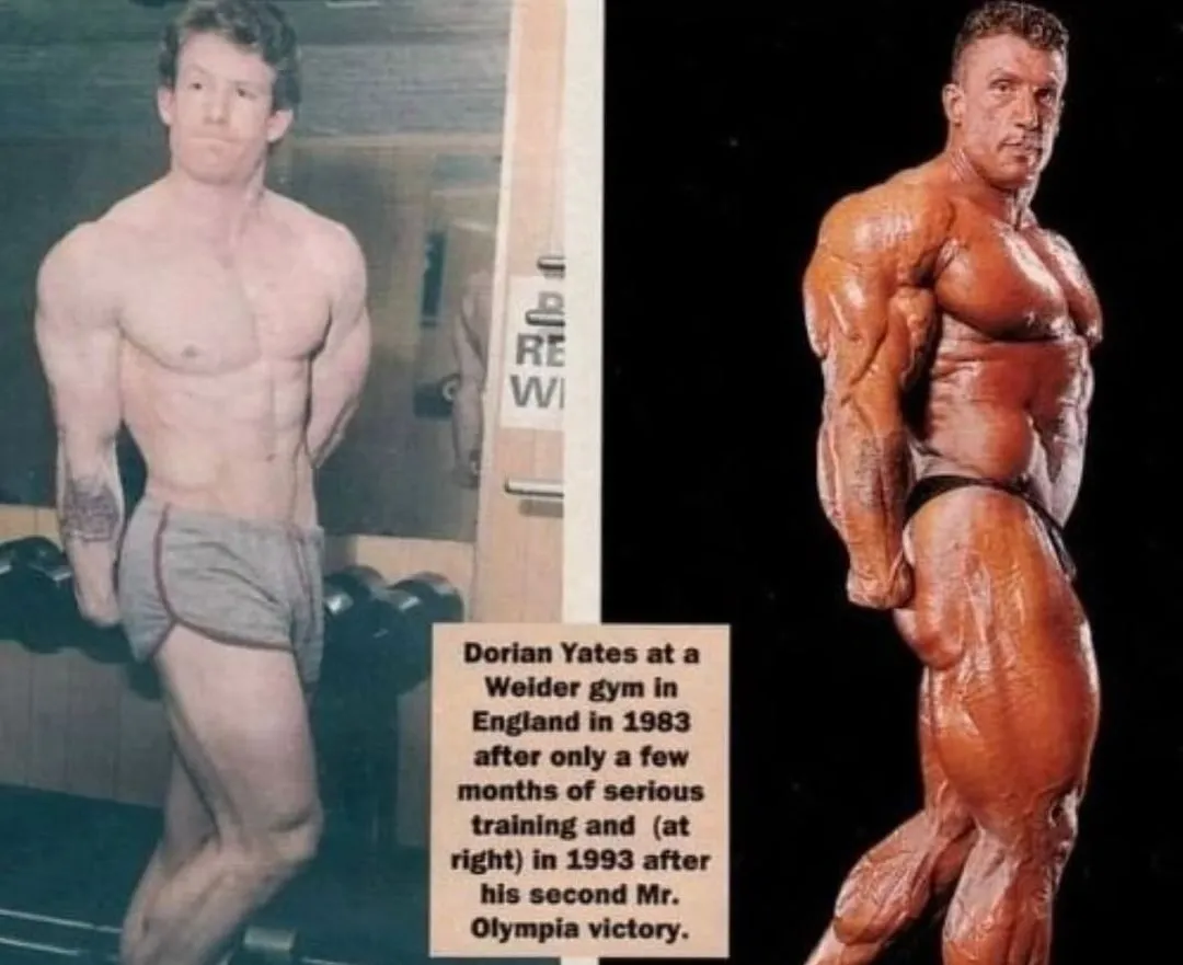 Os 20 melhores fisiculturistas do mundo na história e na atualidade