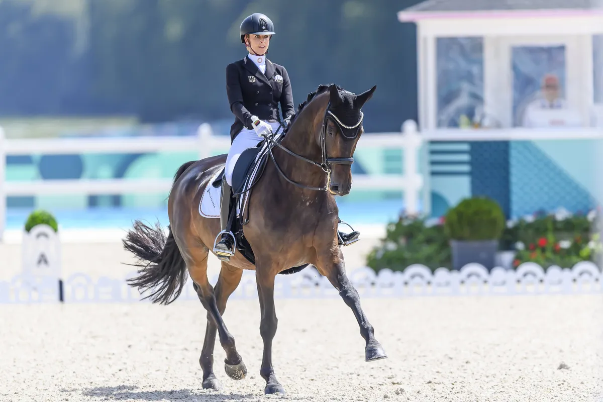 Regras dos esportes paralímpicos ([auto_last_update format="Y" before=""])