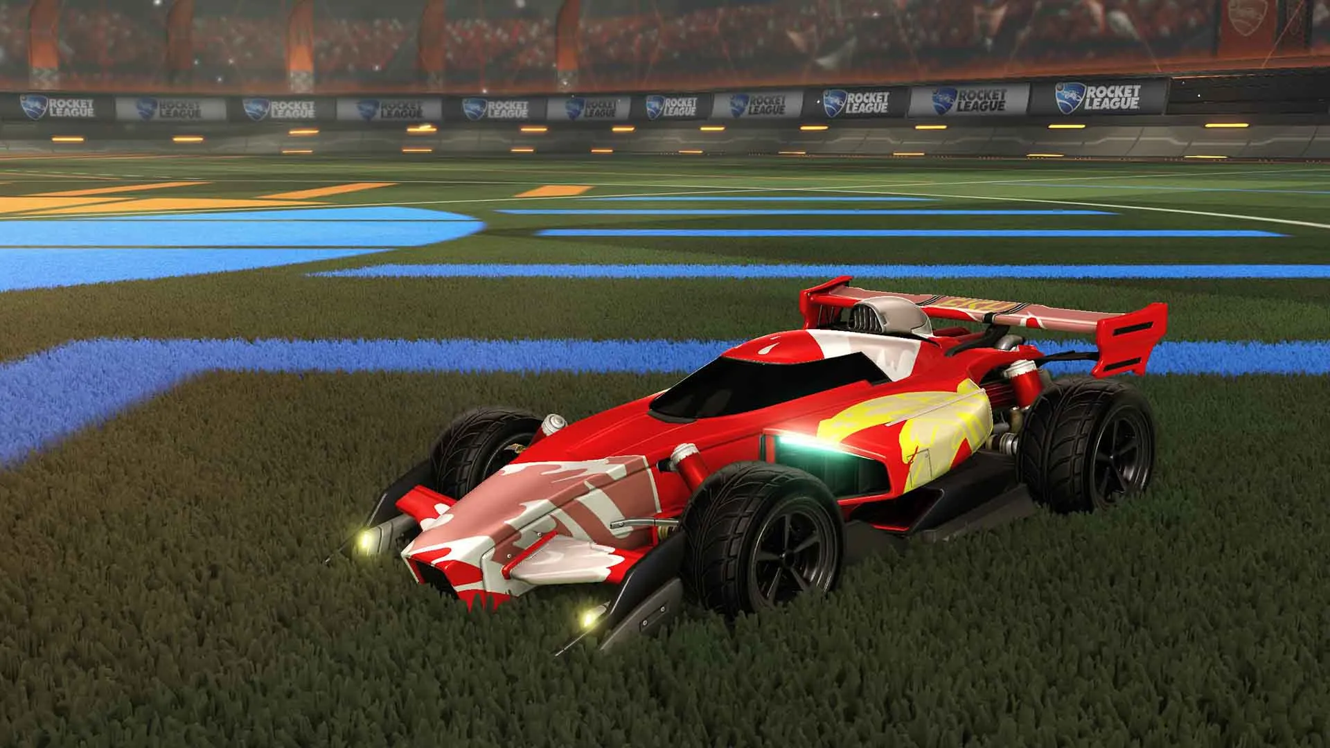 Animus GP