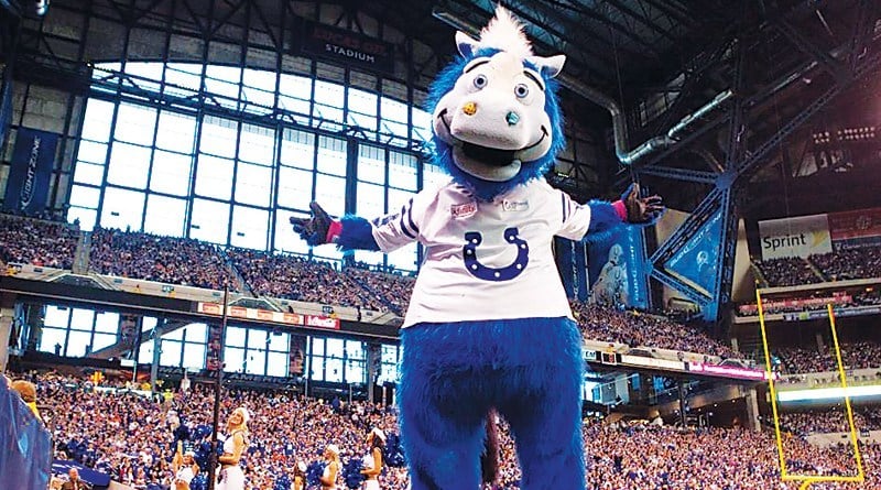 Blue mascote do Indianapolis Colts