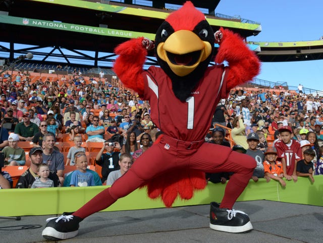 Big Red mascote do Arizona Cardinals