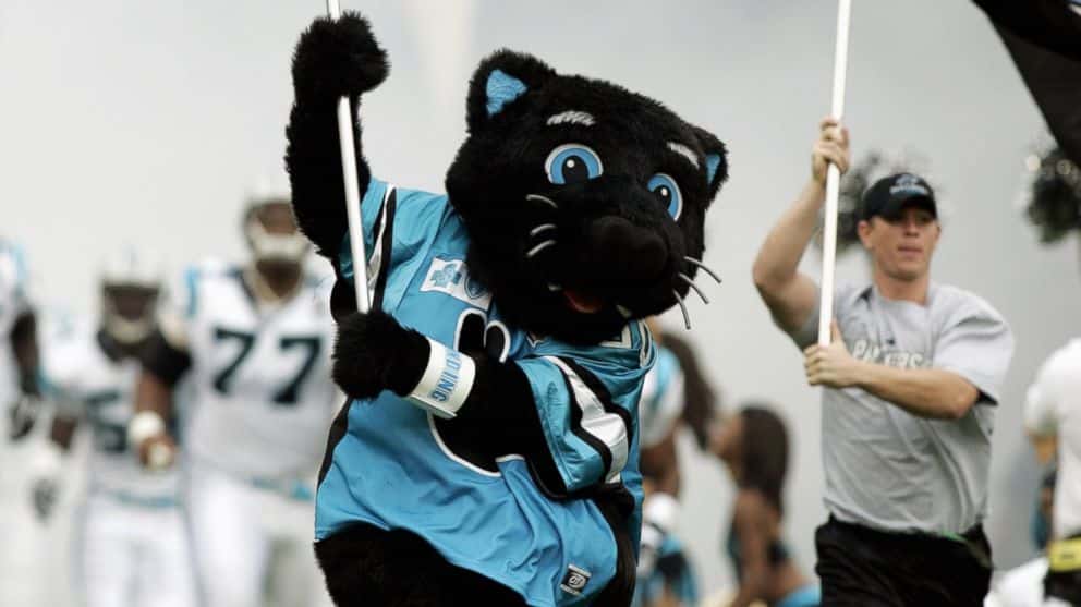 Sir Purr Mascote Panthers